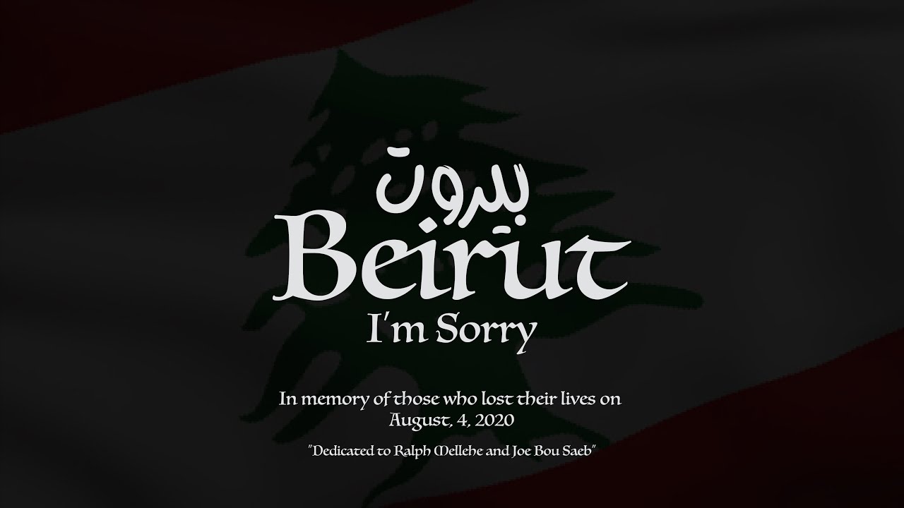 Beirut I'm Sorry — artwork